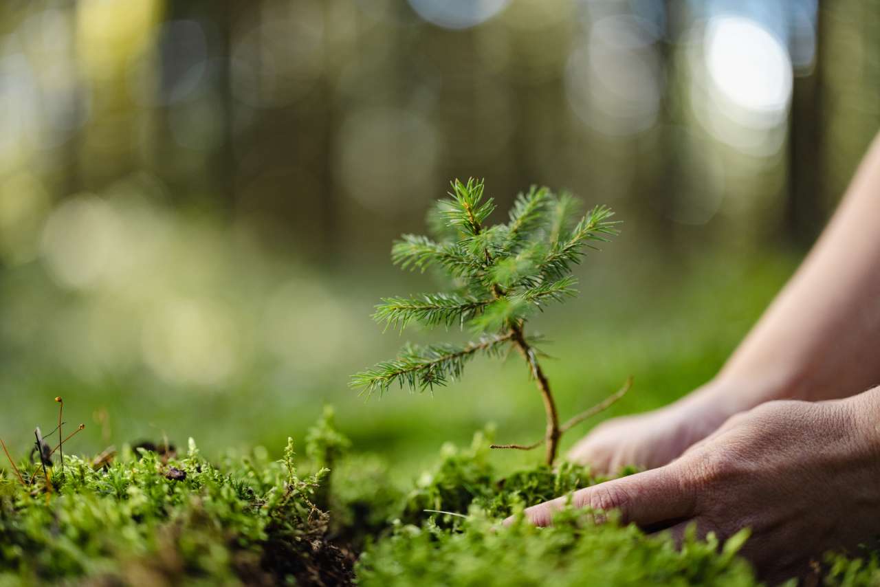 Philippines sustainability